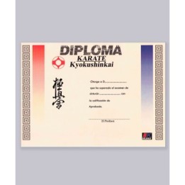 DIPLOMA: KYOKUSHIN DEGREES COLOR  - 1