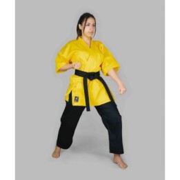 KARATEGI MOD. GOSHINDO - 1