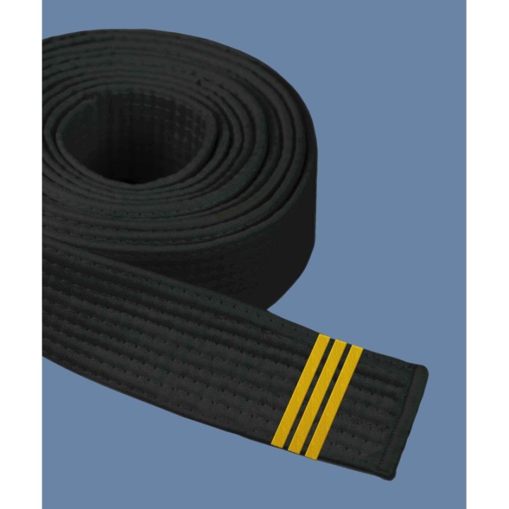 DAN EMBROIDERY FOR BELTS  - 1