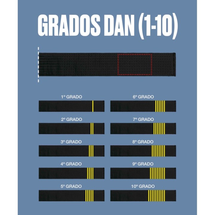 DAN EMBROIDERY FOR BELTS  - 2