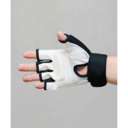TAEKWONDO MITTS MOD. TRAINING  - 1