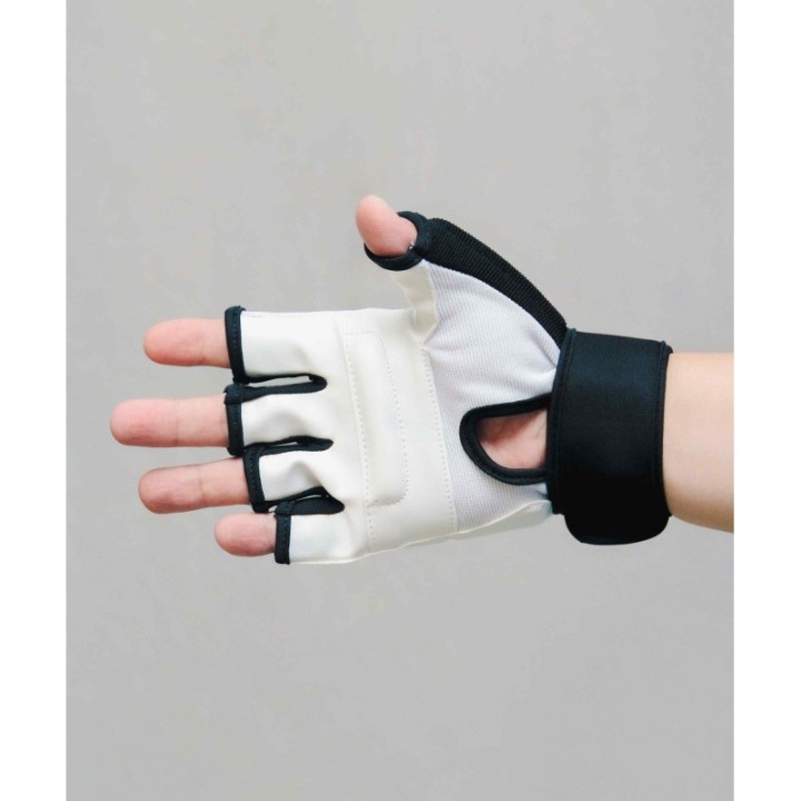 TAEKWONDO MITTS MOD. TRAINING  - 1