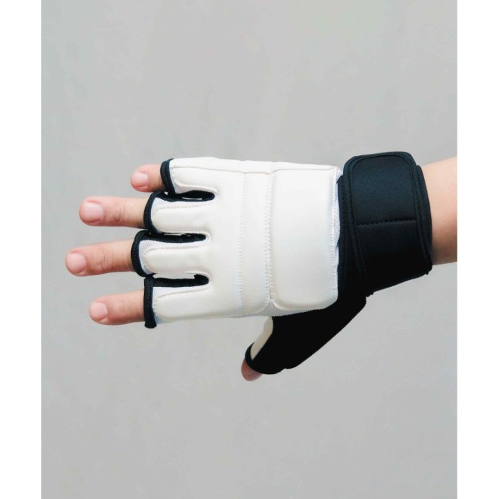 TAEKWONDO MITTS MOD. TRAINING  - 2